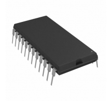 DS17885-5+ 이미지
